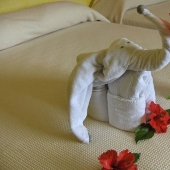 The most ridiculous complaints of British tourists on holidays abroad