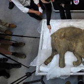 The most sensational finds ever discovered in glaciers