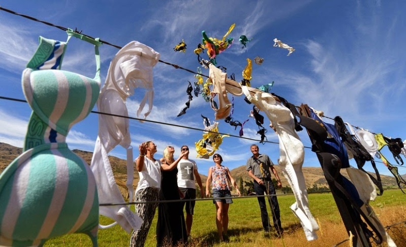 The most unusual fence in the world The most unusual fence in the world