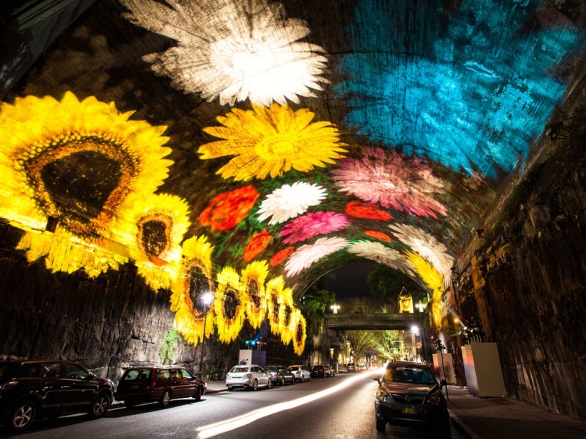 The most unusual transport tunnels