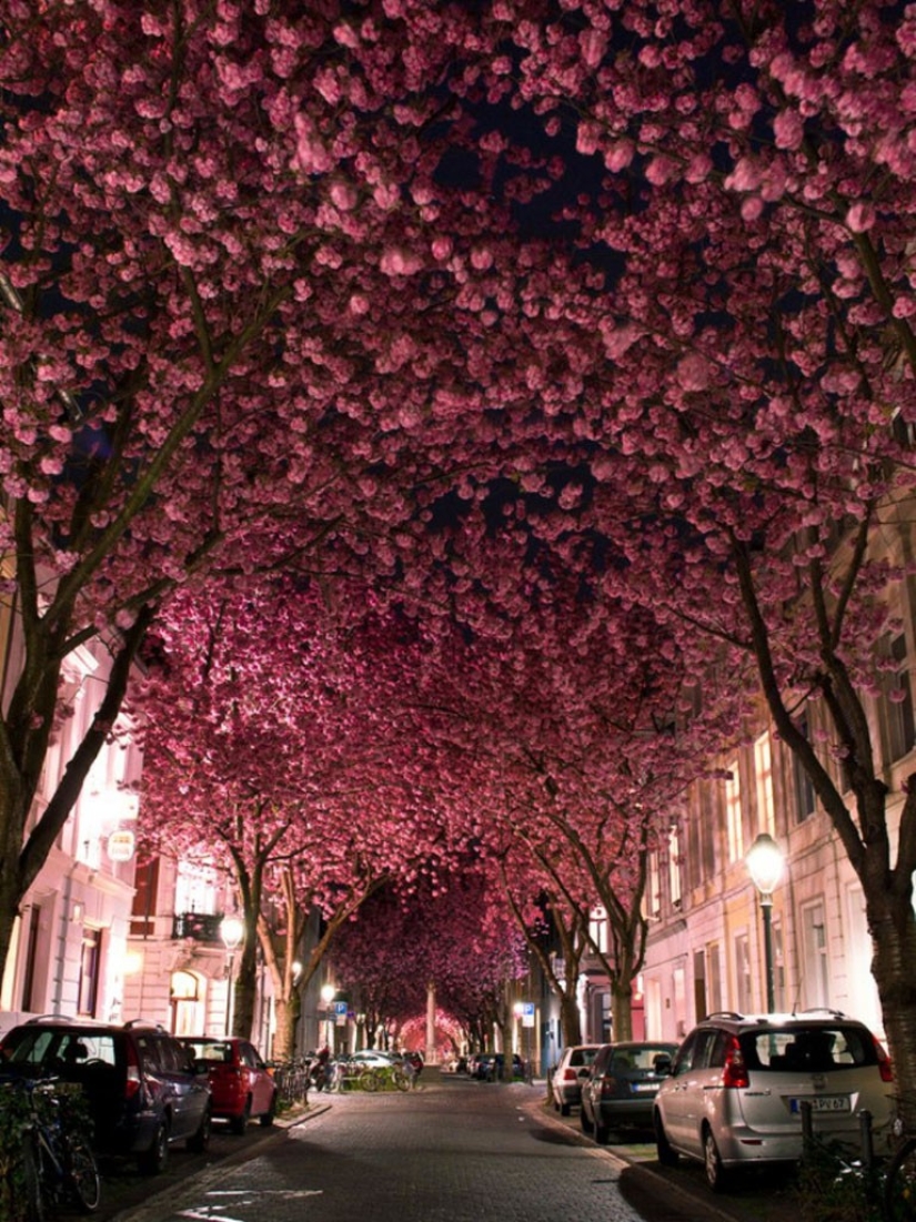 The most unusual transport tunnels