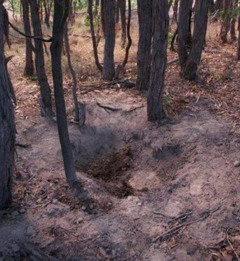 The Murder of Rachel Barber: The Horrific Story of the Psychotic Nanny Who Tried to Steal Someone Else's Identity The Murder of Rachel Barber: The Horrific Story of the Psychotic Nanny Who Tried to Steal Someone Else's Identity