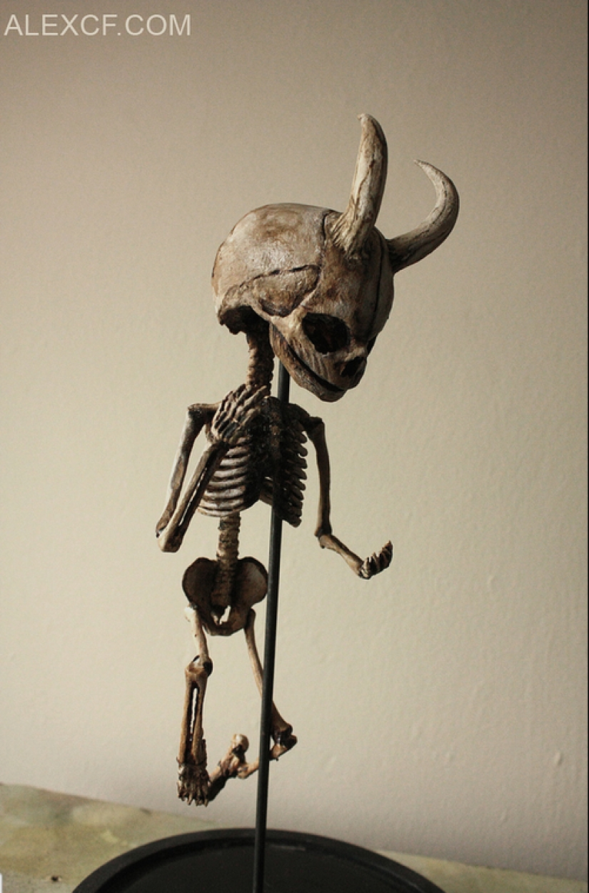 The mystery of the nightmarish collection of Thomas Merrilyn, a time traveler