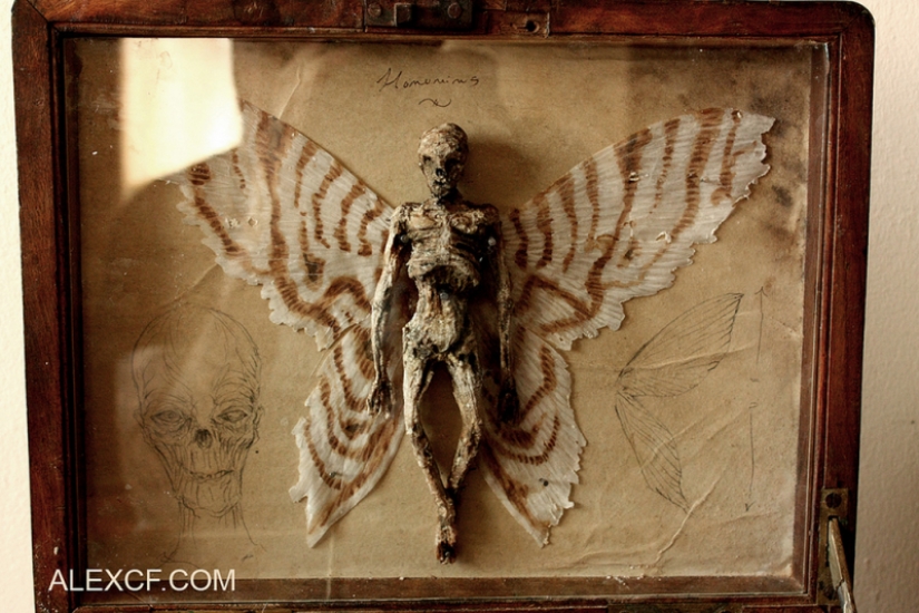 The mystery of the nightmarish collection of Thomas Merrilyn, a time traveler