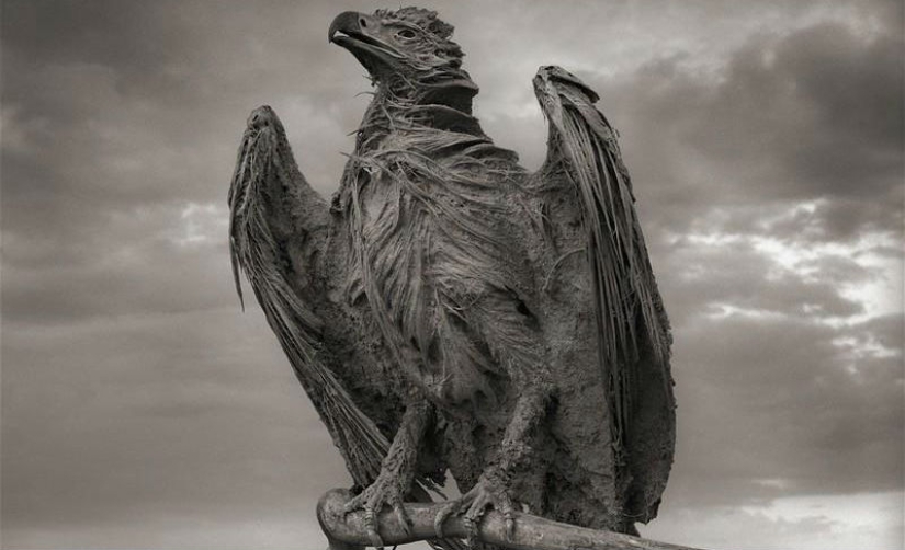 The natural phenomenon of Lake Natron