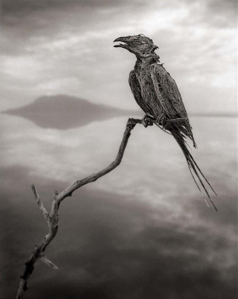 The natural phenomenon of Lake Natron