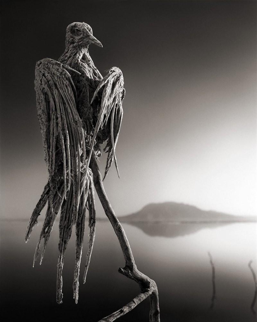 The natural phenomenon of Lake Natron