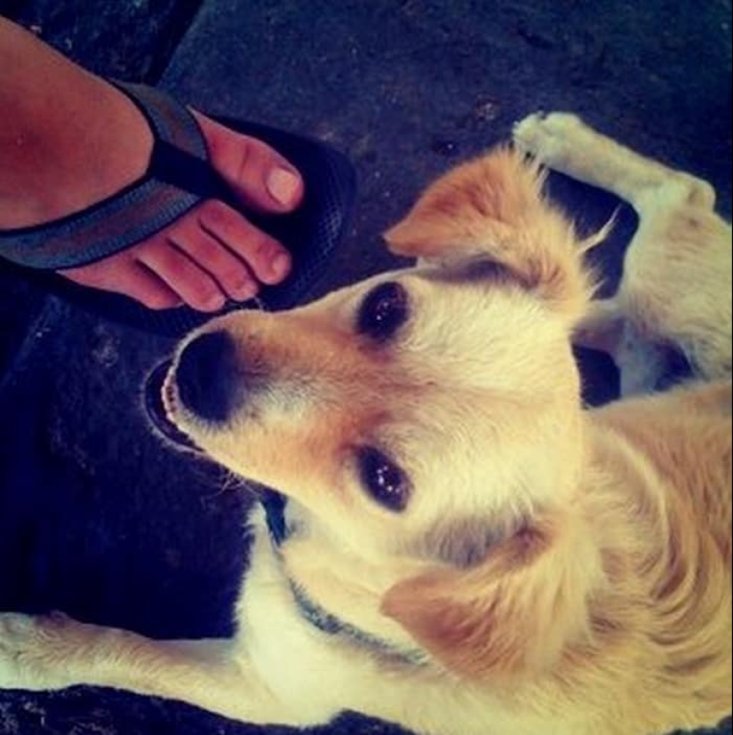 The oldest photos of their kind: from the first daguerreotype to the first Instagram post The oldest photos of their kind: from the first daguerreotype to the first Instagram post