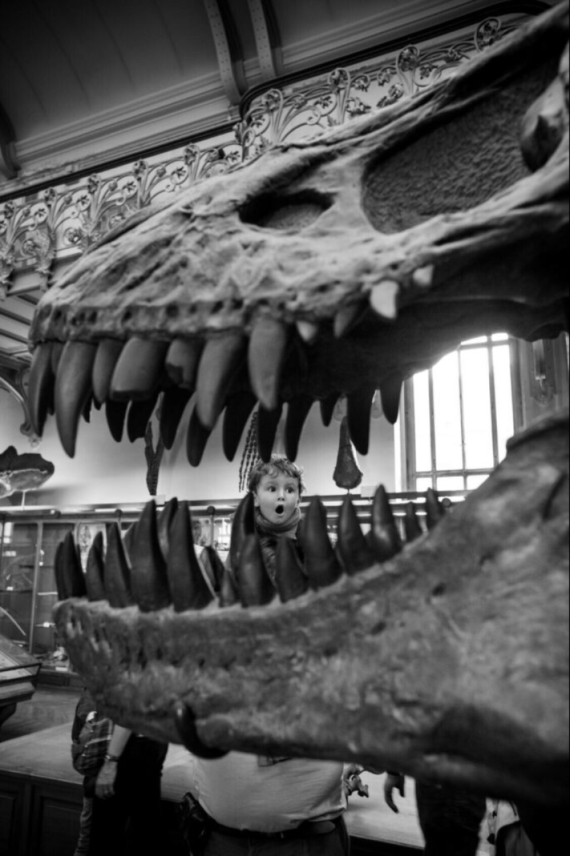 The Other Side of the Beautiful Gérard Ufères: Behind the Scenes of Theaters, Museum Masterpieces, and Their Connoisseurs