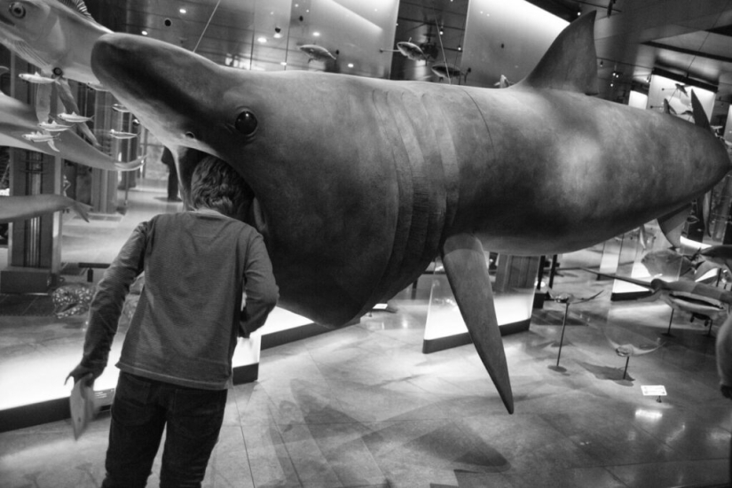 The Other Side of the Beautiful Gérard Ufères: Behind the Scenes of Theaters, Museum Masterpieces, and Their Connoisseurs