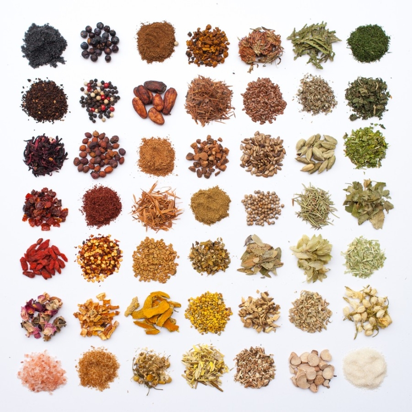 The Perfectionist's Dream: A Game of Color by Emily Blinko The Perfectionist's Dream: A Game of Color by Emily Blinko