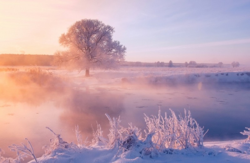 The photographer gets up early in the morning every day to capture the beauty of winter