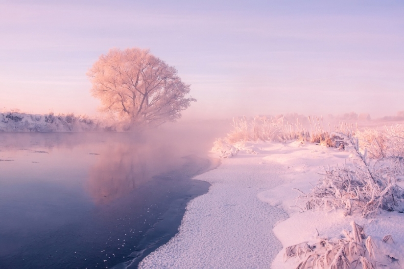 The photographer gets up early in the morning every day to capture the beauty of winter