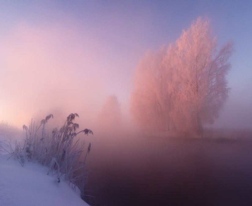 The photographer gets up early in the morning every day to capture the beauty of winter