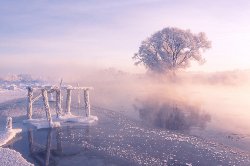 The photographer gets up early in the morning every day to capture the beauty of winter