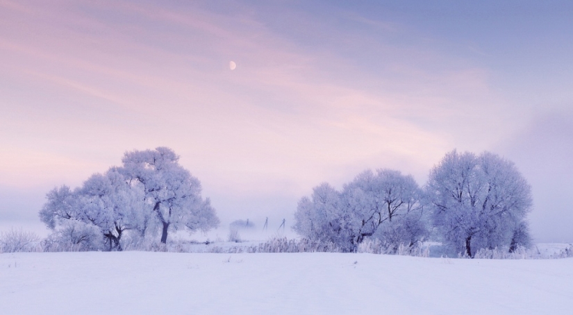 The photographer gets up early in the morning every day to capture the beauty of winter