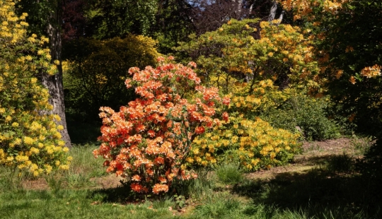 The photographer hides nude models in his landscape works. Can you find them?