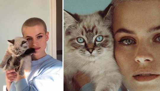 The photographer showed how to make perfect photos