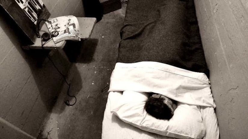 The place where Al Capone was broken: legends and horrors of Alcatraz