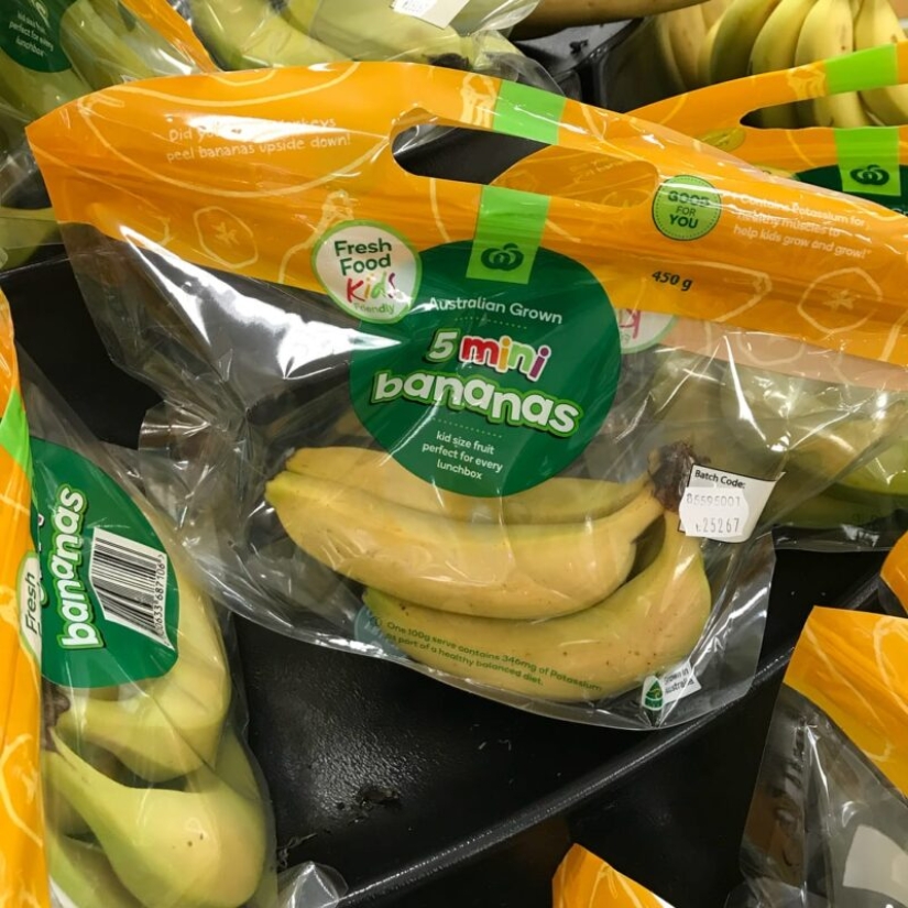 The plastic world has won: 22 examples of how diligently people destroy the planet with plastic