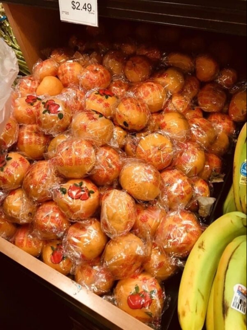 The plastic world has won: 22 examples of how diligently people destroy the planet with plastic