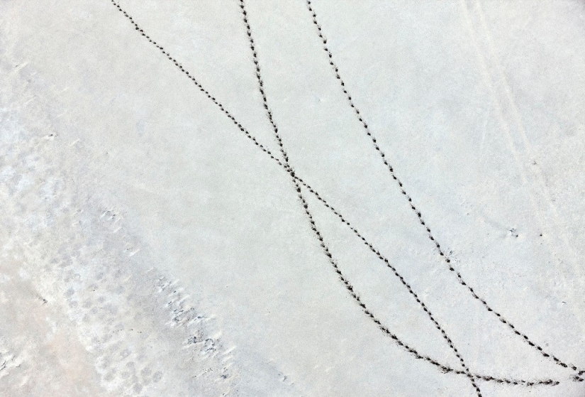 The pristine beauty of Africa in amazing aerial photos