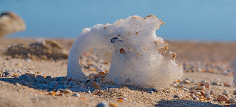 The secret of the "chicken god" — why stones with a hole are valued all over the world