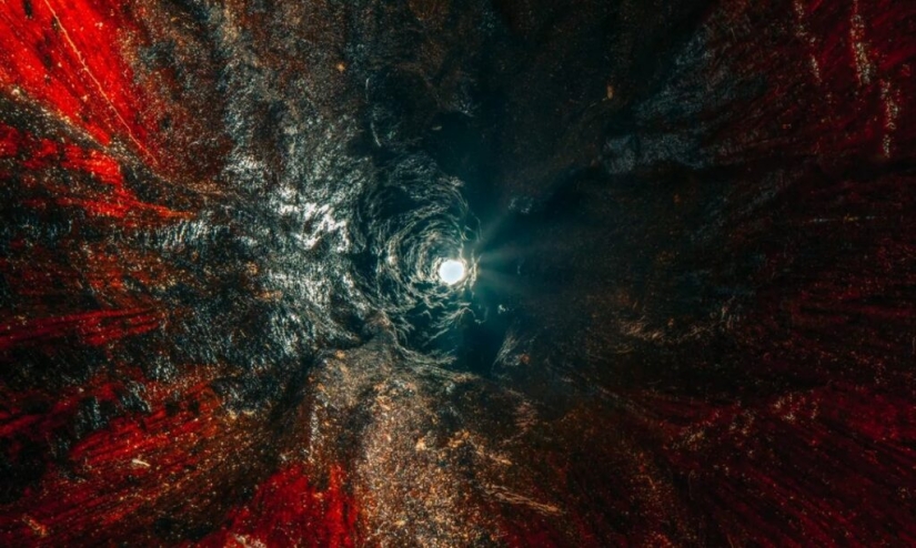 The Secrets of Musical Instruments Through the Lens of a Brilliant Photographer