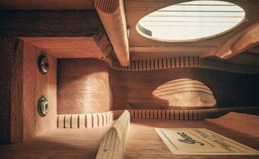 The Secrets of Musical Instruments Through the Lens of a Brilliant Photographer