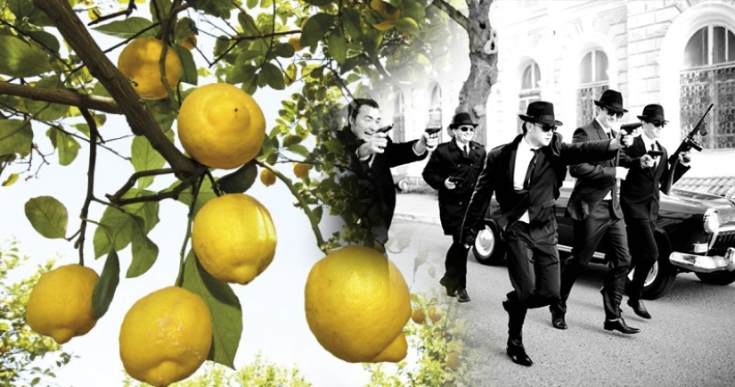 The Sicilian Mafia: How the Demand for Lemons Gave Birth to the World's Most Powerful Criminal Organization The Sicilian Mafia: How the Demand for Lemons Gave Birth to the World's Most Powerful Criminal Organization