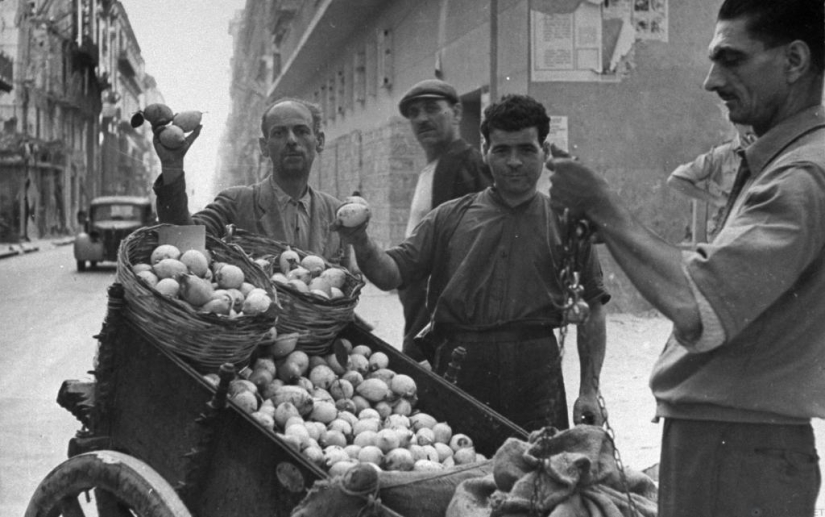 The Sicilian Mafia: How the Demand for Lemons Gave Birth to the World's Most Powerful Criminal Organization The Sicilian Mafia: How the Demand for Lemons Gave Birth to the World's Most Powerful Criminal Organization