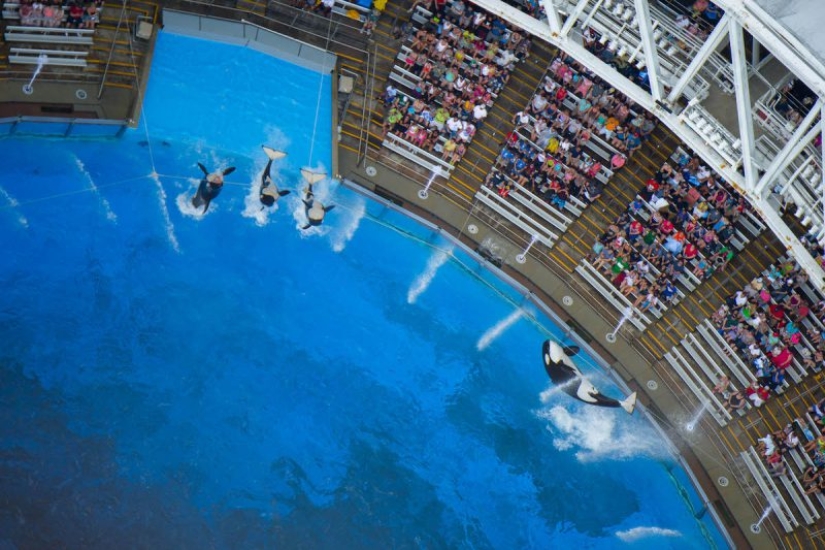 The source of life: the relationship of mankind and water on the aerial photographs by Jason Hawkes