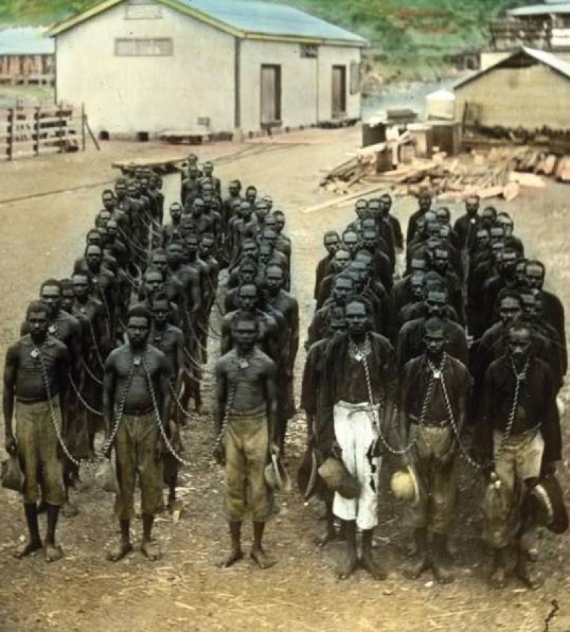 The story of a genocide: the Australian aborigines were considered animals up to 1970-ies