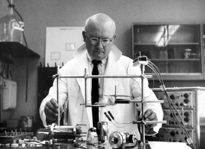 The story of a head transplant that was never meant to happen The story of a head transplant that was never meant to happen