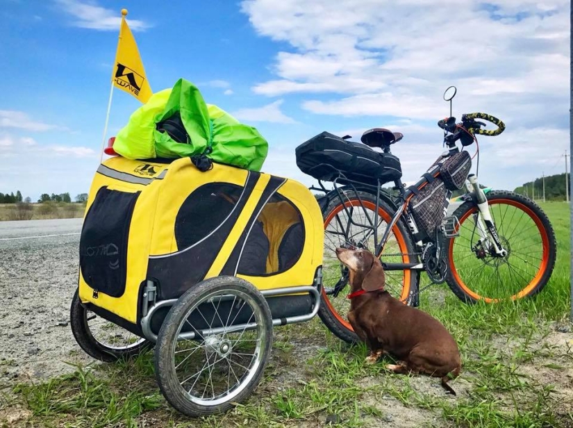 The story of Anna Smolina, who cycled across half the country with her dog