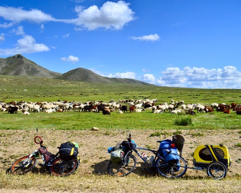 The story of Anna Smolina, who cycled across half the country with her dog