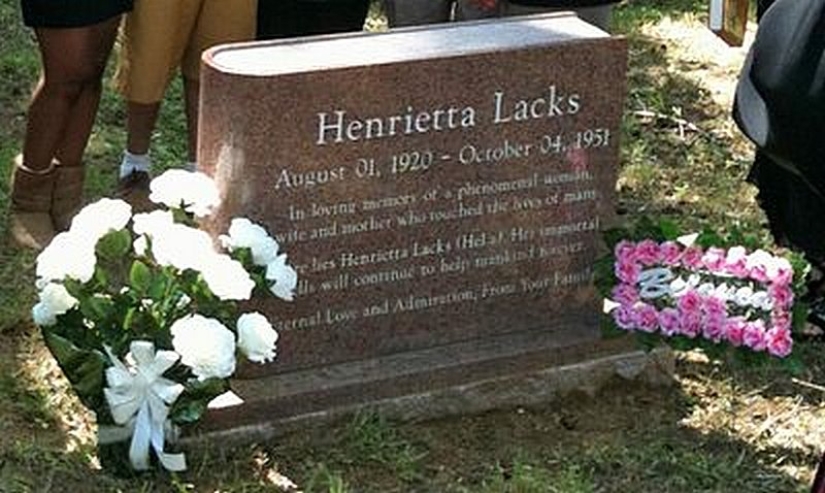 The story of Henrietta Lacks, the woman who revolutionized world science after her death