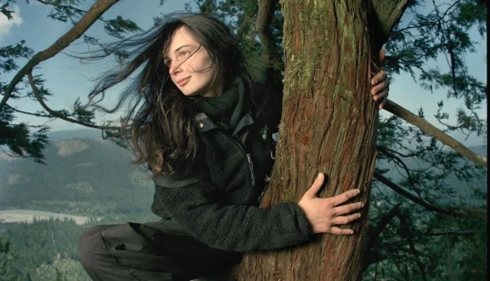 The story of Julia "Butterfly", a girl who lived in a tree for 2 years