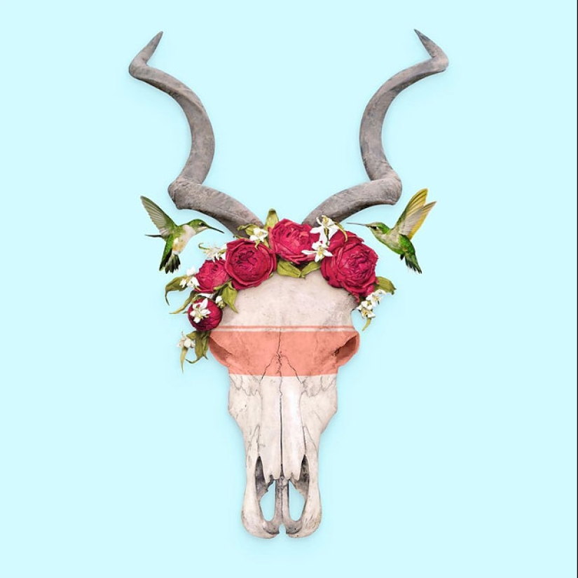 The surreal side of ordinary objects in the collages of the Mexican Paul Fuentes