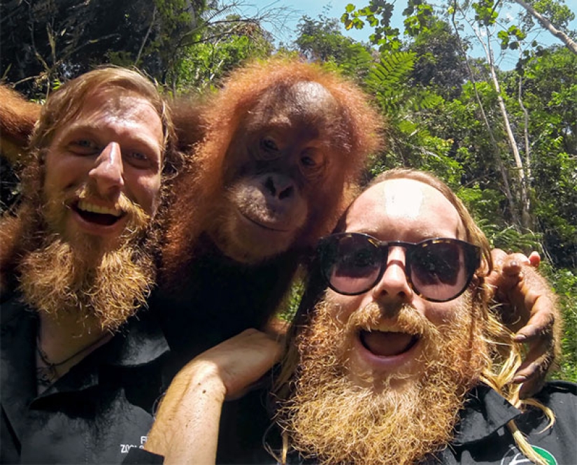 The third extra: masters of disguise, which even an Indian Sharp Eye will not find