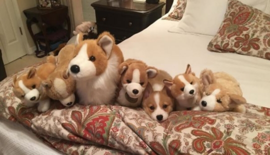 The third extra: masters of disguise, which even an Indian Sharp Eye will not find The third extra: masters of disguise, which even an Indian Sharp Eye will not find