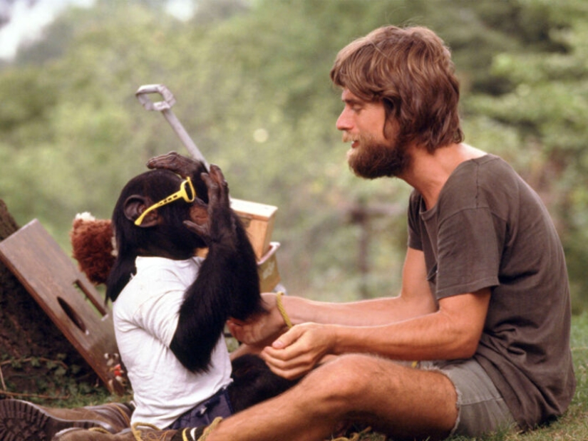 The tragic fate of Nim Chimpsky, or is it possible to make a man out of a monkey The tragic fate of Nim Chimpsky, or is it possible to make a man out of a monkey