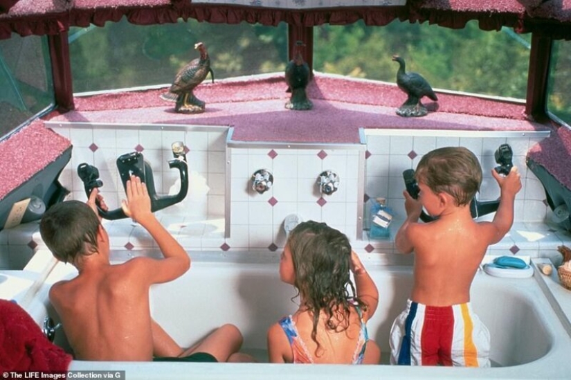 The transformation of the old "Boeing" in a cozy house over the lake