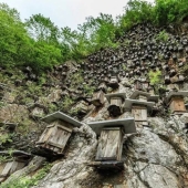 The unique hive wall is the only wild bee sanctuary in China