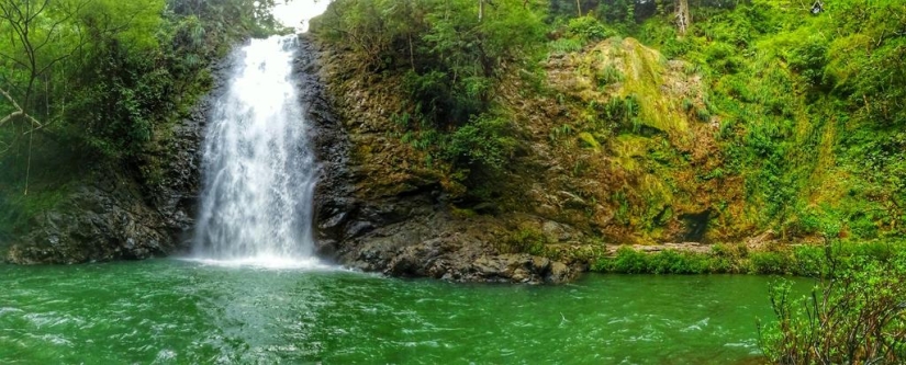 The woman built in the middle of the jungle house is made of concrete and dishwashing detergent The woman built in the middle of the jungle house is made of concrete and dishwashing detergent