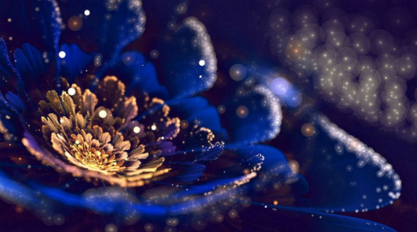 The Wonders of Fractal Graphics