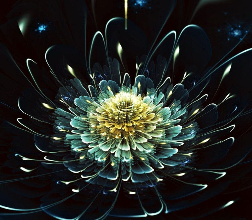 The Wonders of Fractal Graphics