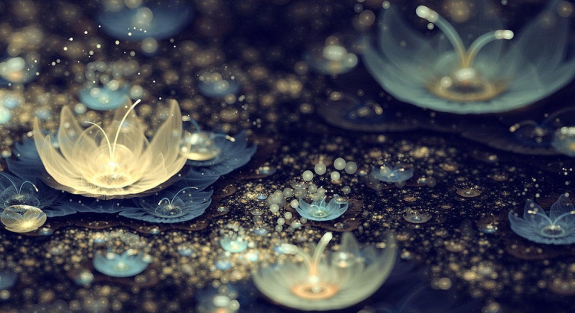 The Wonders of Fractal Graphics