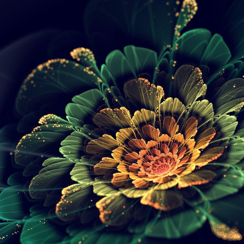 The Wonders of Fractal Graphics