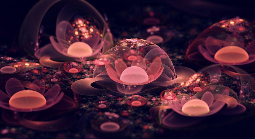 The Wonders of Fractal Graphics